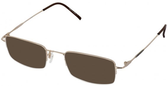 Jaeger 234-53 sunglasses in Gold/Ruthenium