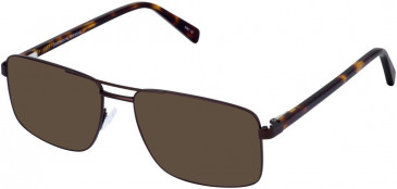 Cameo WILLIAM sunglasses in Brown