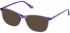 Cameo SHIRLEY sunglasses in Purple