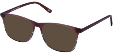 Cameo ROBERT sunglasses in Sherry