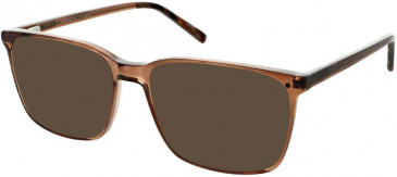 Cameo MARCUS sunglasses in Brown