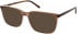 Cameo MARCUS sunglasses in Brown