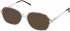 Cameo ELIZABETH-53 sunglasses in Brown and Crystal