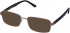 Cameo BRANDON sunglasses in Brown