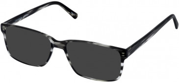 Cameo BRADLEY sunglasses in Grey