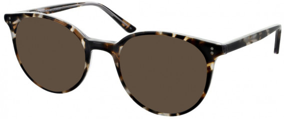 Zenith 96 sunglasses in Brown