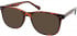 Matrix 834 sunglasses in Tort