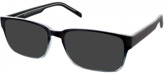 Matrix 832 sunglasses in Smoke