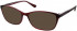 Matrix 831 sunglasses in Claret