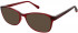 Matrix 823 sunglasses in Wine