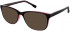 Matrix 819-53 sunglasses in Purple
