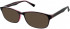 Matrix 815-50 sunglasses in Purple