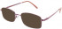 Matrix 221-54 sunglasses in Rose