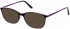 Lazer 4104-51 sunglasses in Purple