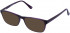 Lazer 4088-53 sunglasses in Purple