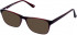 Lazer 4088-53 sunglasses in Claret