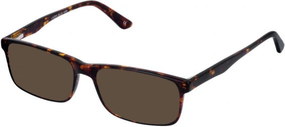 Lazer 4086-55 sunglasses in Tort