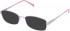 Lazer 4074-54 sunglasses in Rose
