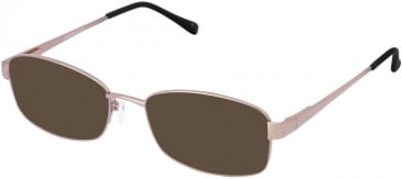 Lazer 4074-54 sunglasses in Brown