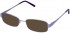 Lazer 4072-53 sunglasses in Mauve