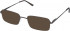 Lazer 4070-58 sunglasses in Brown