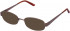 Lazer 4068-52 sunglasses in Brown