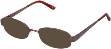 Lazer 4068-50 sunglasses in Brown