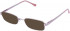 Lazer 4064-50 sunglasses in Rose