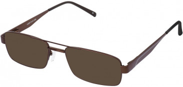 Lazer 4058-56 sunglasses in Brown