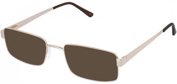 Lazer 4054-55 sunglasses in Gold