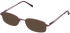 Lazer 4050-54 sunglasses in Burgundy