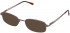 Lazer 4050-54 sunglasses in Brown