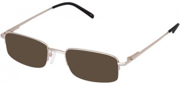 Lazer 4016-53 sunglasses in Gold