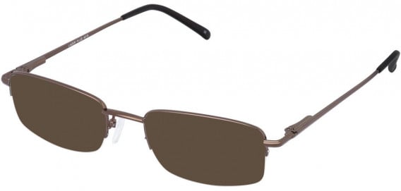 Lazer 4016-51 sunglasses in Brown