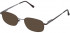 Lazer 3910-51 sunglasses in Brown