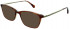 L.K.Bennett 59 sunglasses in Brown and Gold
