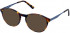 Cameo STEPH sunglasses in Tort and Blue