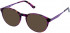 Cameo STEPH sunglasses in Purple