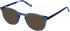Cameo MATT sunglasses in Blue