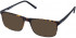 Cameo MASSIMO sunglasses in Brown