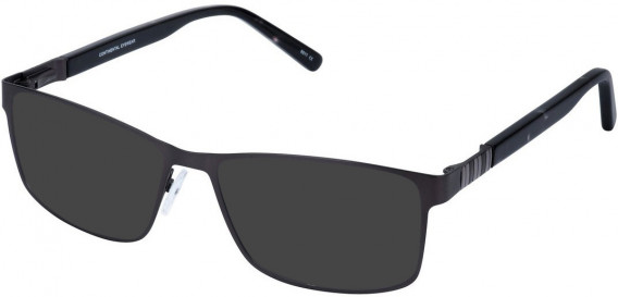 Cameo LIONEL sunglasses in Grey
