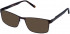 Cameo LIONEL sunglasses in Brown