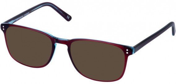 Cameo KAY sunglasses in Claret and Blue