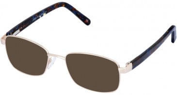 Lazer 4100-50 sunglasses in Gold