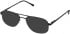 Lazer 4076-56 sunglasses in Black