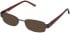 Lazer 4046-51 sunglasses in Brown