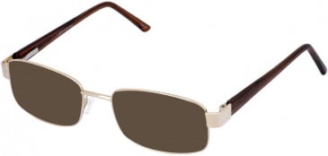 Lazer 4044-55 sunglasses in Gold