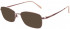 Jaeger 323 sunglasses in Rose