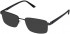 Cameo HARRY sunglasses in Grey