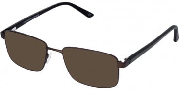 Cameo HARRY sunglasses in Brown
